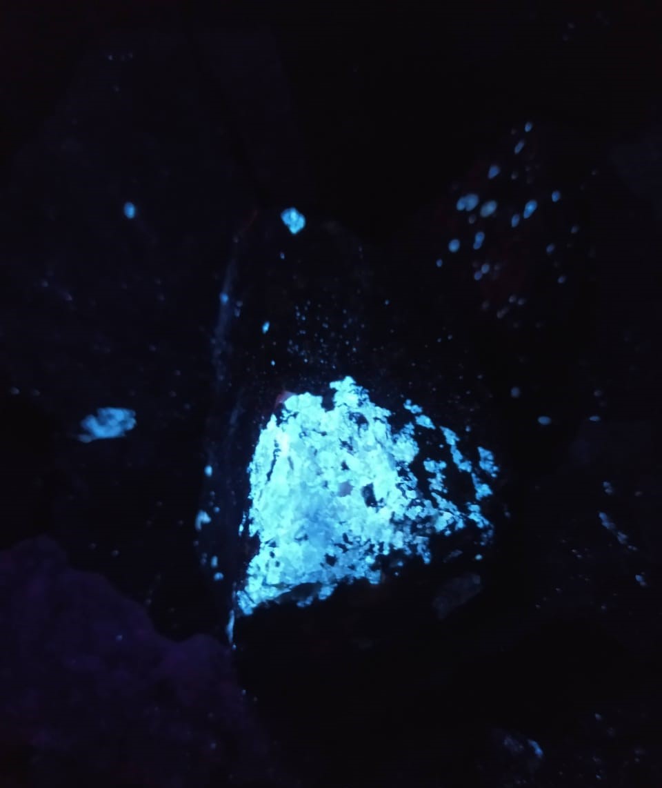 WhatsApp Image 2021-07-06 at 21.02.55.jpeg